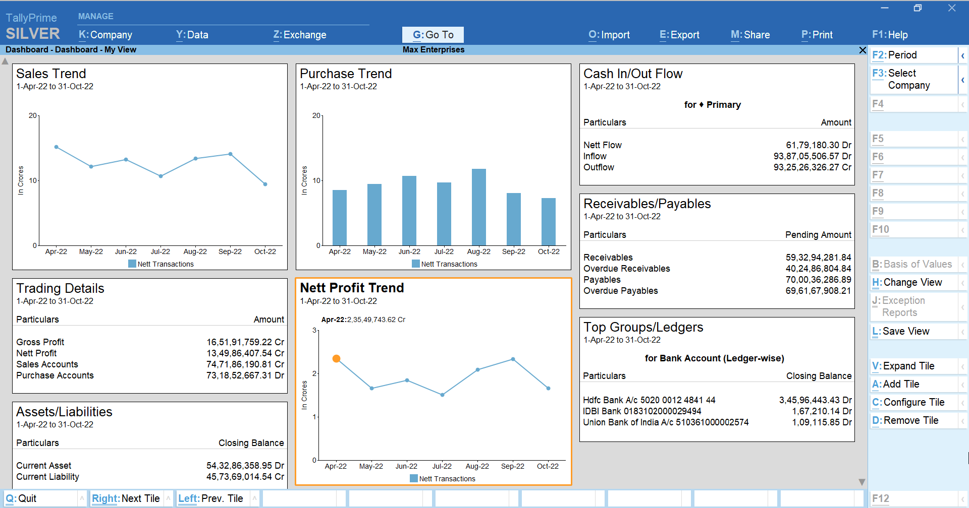 TallyPrime ERP Dashboard & Financial Reports